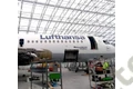D-AIPB