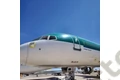 Aviationtag Boeing 757 Aer Lingus EI-LBT