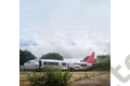 G-CELH