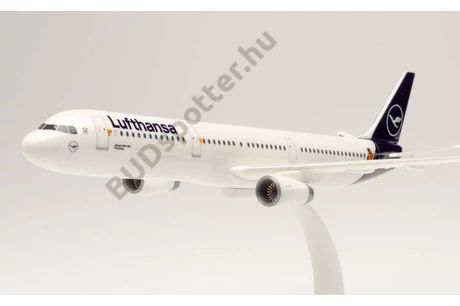 Airbus A321 Lufthansa D-AIRY