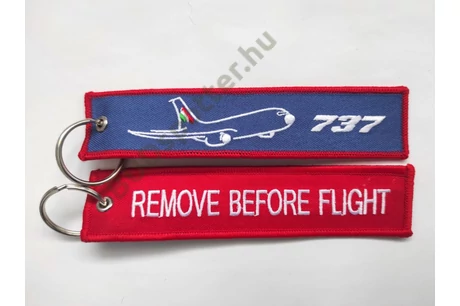 Boeing 737 RBF